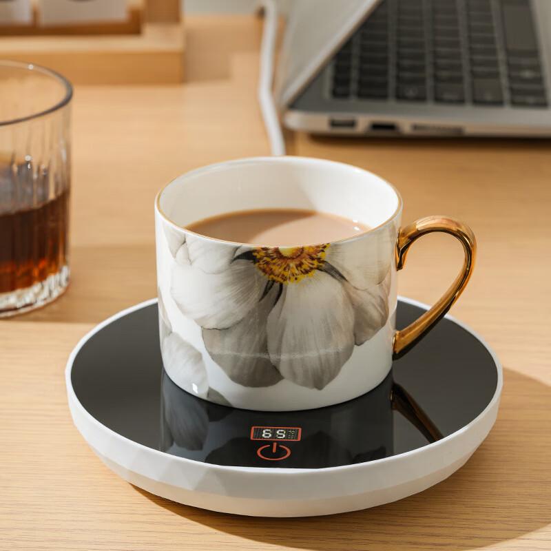 PAKCHOICE Digital Smart Thermostatic Heating Coaster