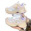 Single Mesh Breathable Mesh Sports Leisure Fashion Internet Celebrity Women's Shoes 2025 Spring and Summer New Muffin Heightening Dad Shoes