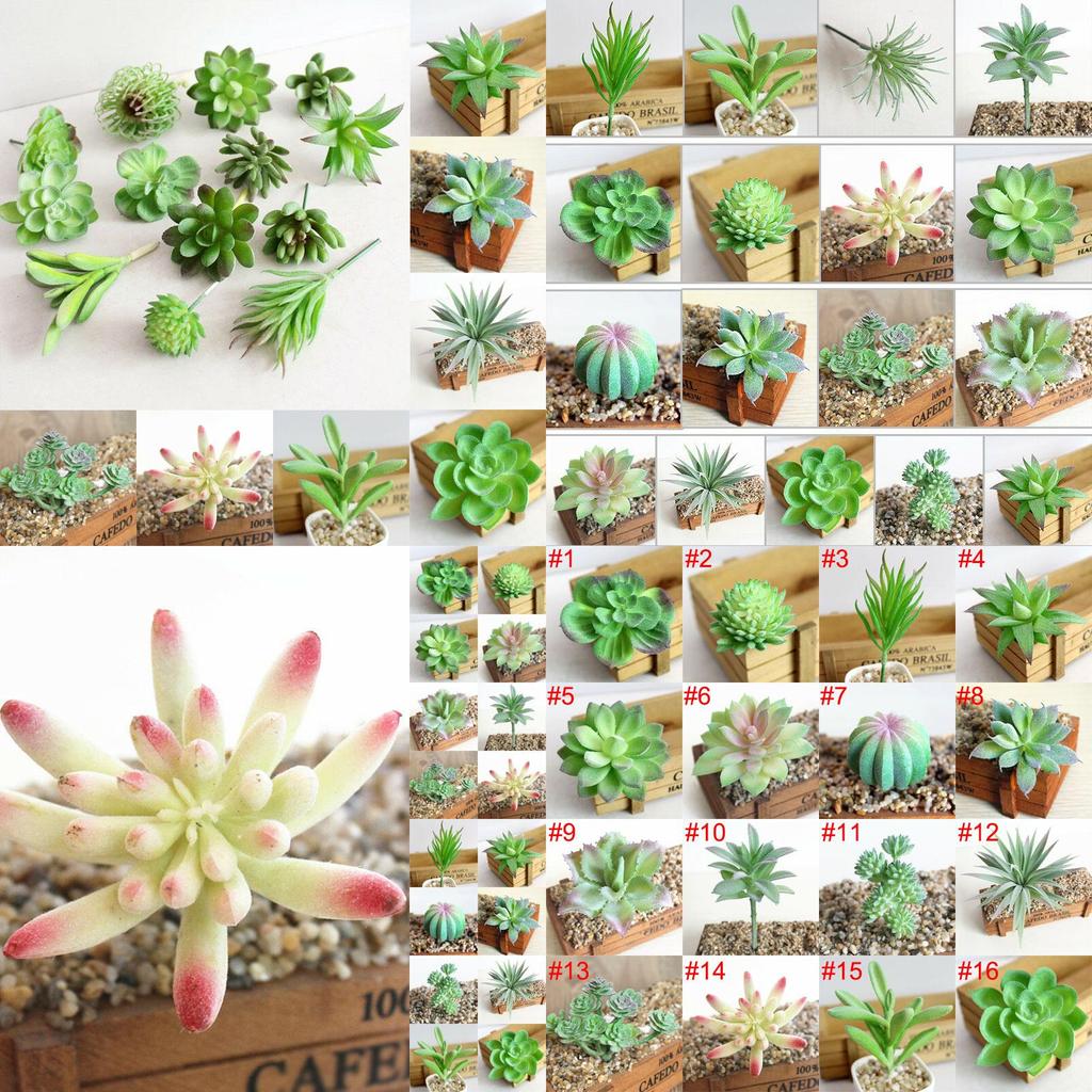 Compact Realistic-looking Fake Succulent For Indoor And Outdoor Decoration