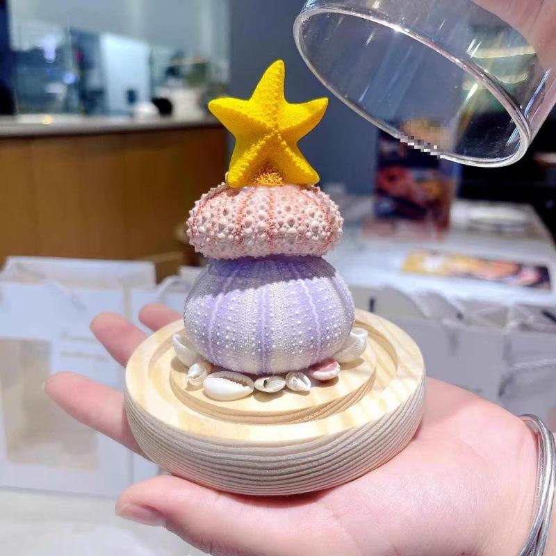 Sea Urchin Shell Jellyfish Night Light: Heart-Shaped Ornament for Mother's Day or Birthday