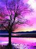 Diamond Painting Lavender Scenery Home Decor Mosaic Embroidery Sunset Landscape Rhinestone Pictures Diamond Art