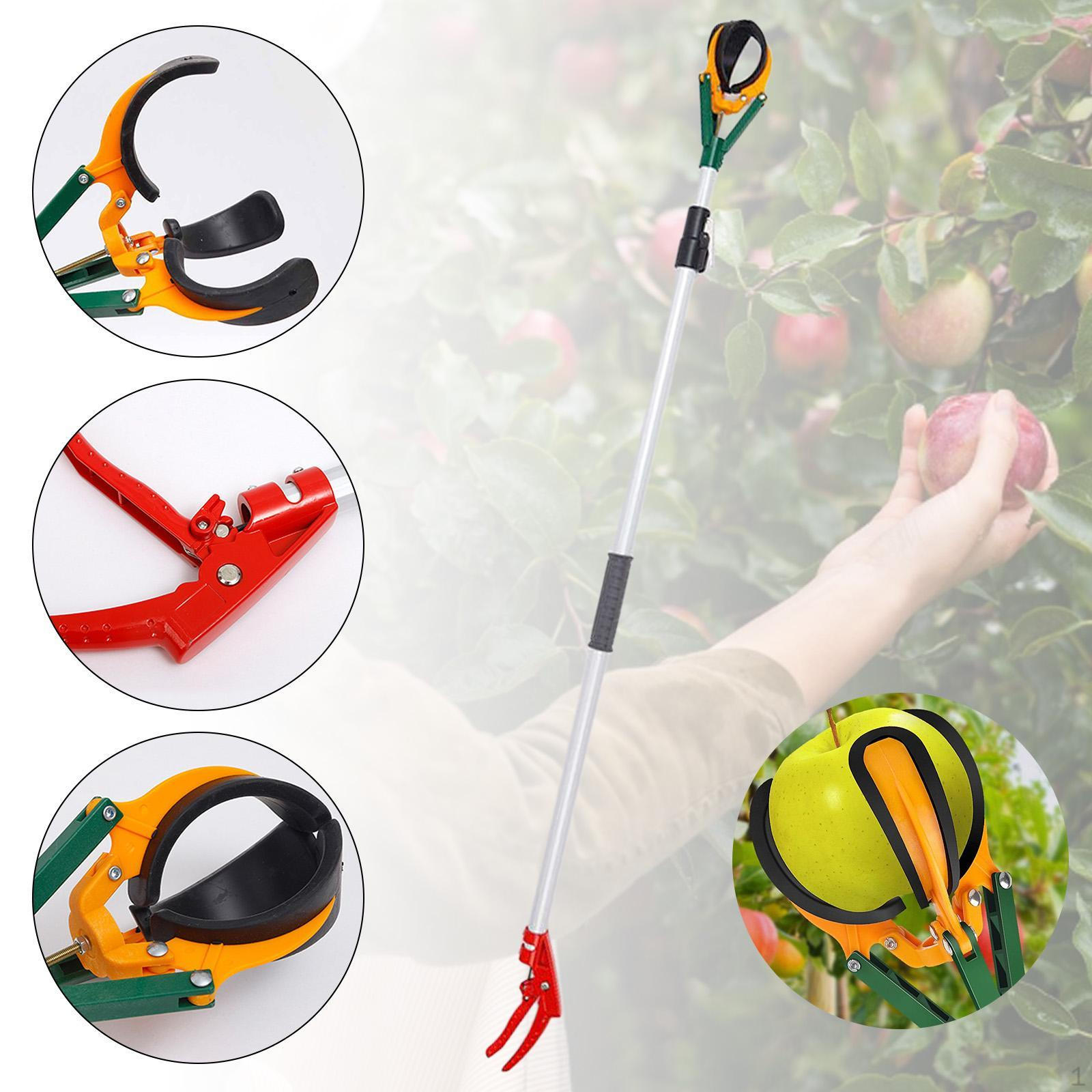 

Шест для сбора фруктов Универсальный Выдвижной Легко собирается Легкий Комбайн с тремя когтями