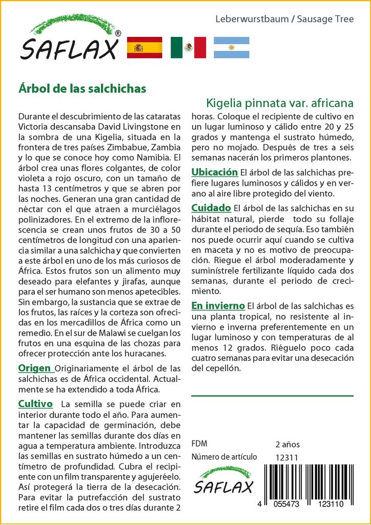 SAFLAX Sausage Tree - 10 Seeds - Kigelia Pinnata