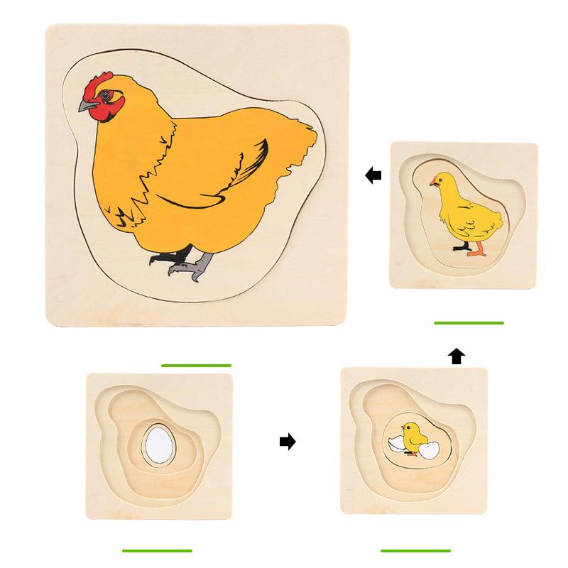 Wooden Kids Animal/ Plant Life Cycle 3D Puzzle Toy Montessori Teaching Aids Multi-Layer Jigsaw Early Learning Toys For Preschool