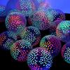 10/20/30pcs 12inch Fluorescent Neon Glow Latex Balloons Dark Glow Luminous Wedding 80s 90s Birthday Black Light Party Decor