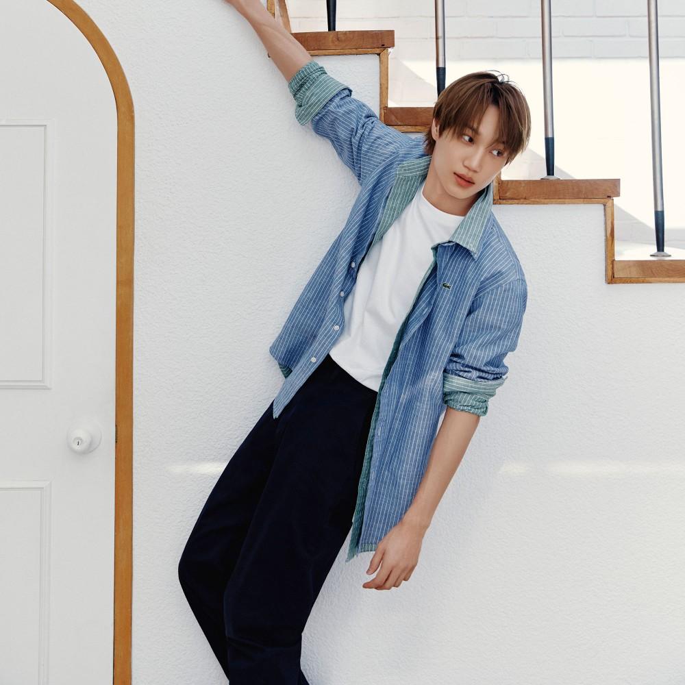 [Lacoste] Men s Regular Fit Chinos HH6298-56GHDE 29