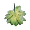 Sale Künstliche Sukkulente Blume - Florale Mini-Pflanzen Laub Garten-Deko/Geschenk