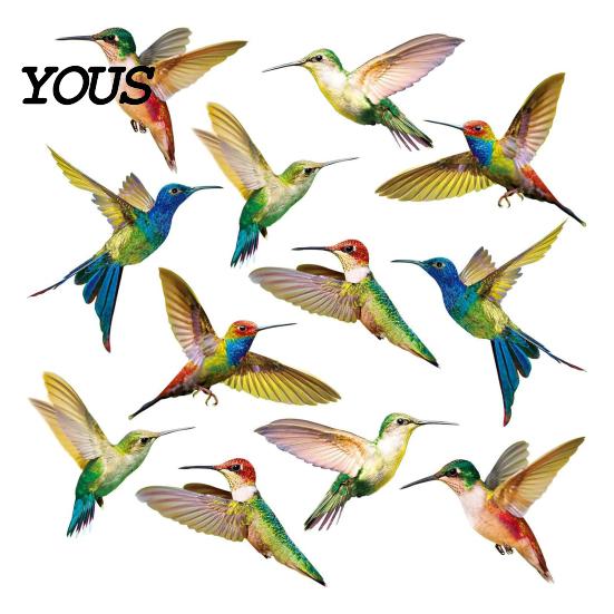 Reusable Window Decal Bird Stickers, Anti-Collision Strike Prevention Decal, Static Cling Glass Safety Film for Windows Doors, UV Reflective