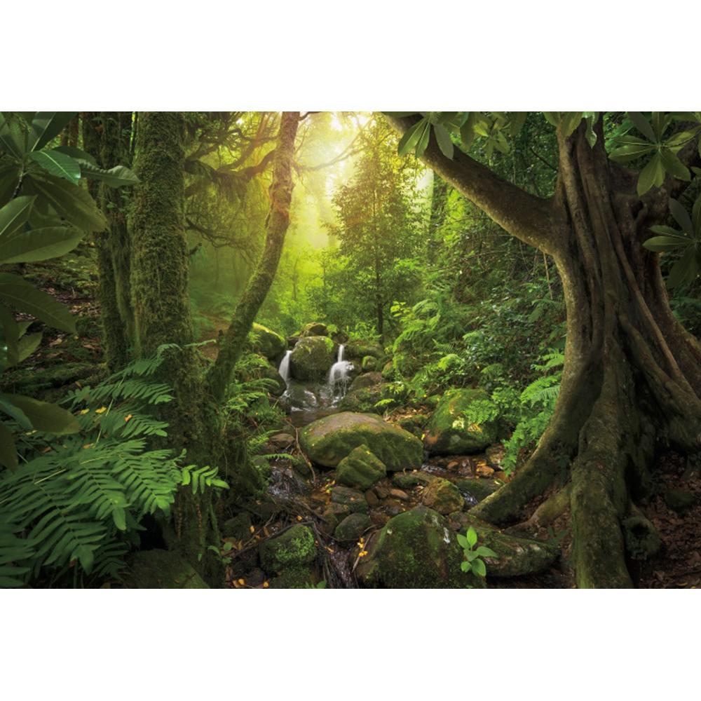 Spring Forest Backdrop Tropical Jungle Rainforest Backdrops for Photography Camping Adventure Birthday Background Photo Studio