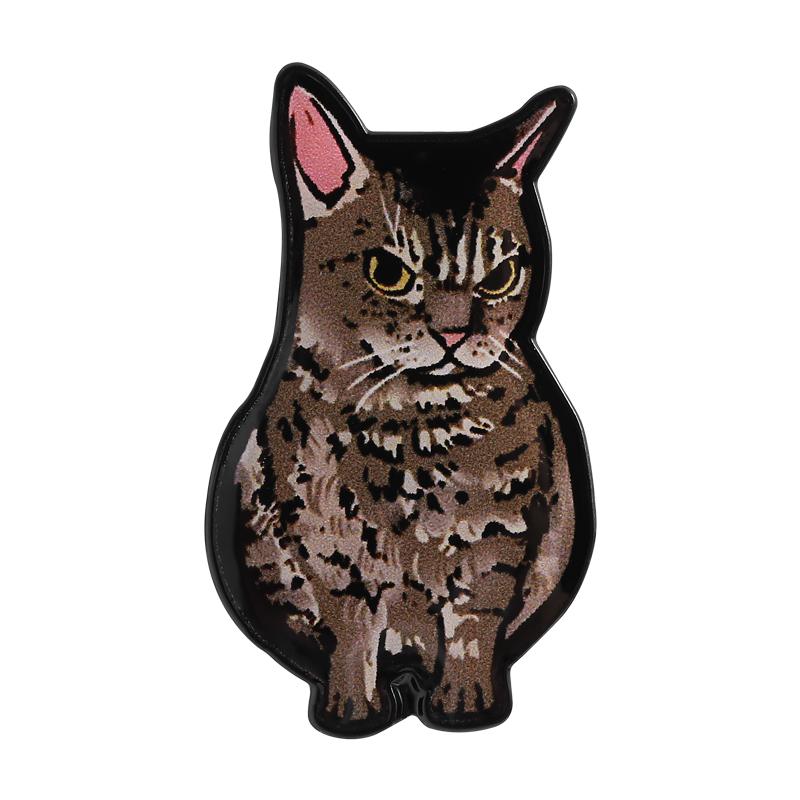 Cute Cat UV Pins Custom No Talk Me I Angy Brooches Lapel Badges Clothes Rainbow Animal Jewelry Gift for Friends