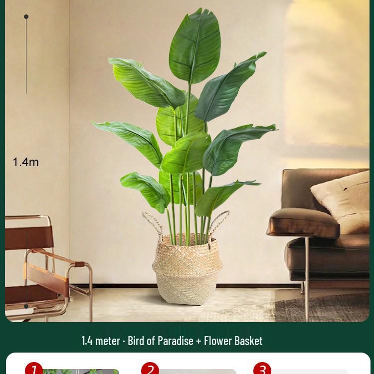 High-End Indoor Bird of Paradise Decor: Luxury Potted Traveler's Palm