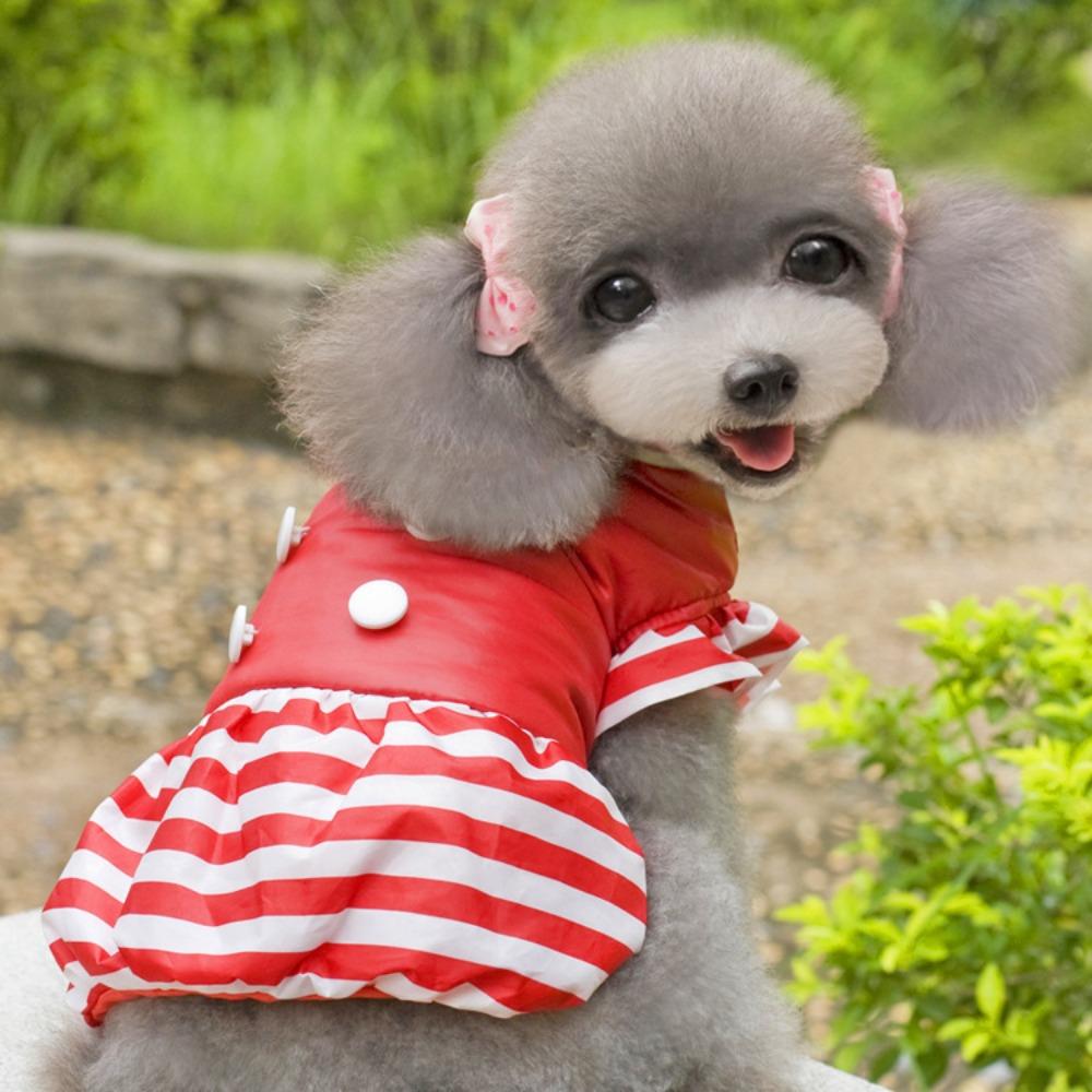 Höst och vinter Teddy Pomeranian valp husdjur vinter katt blommig flygärmar liten hund tvåbent bomullsvadderad klänning