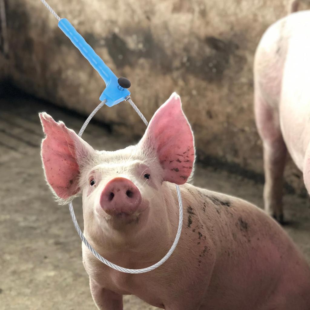 Convenient Catch Pole Farm Pig Catcher Portable Sheep Catcher Catch Supply