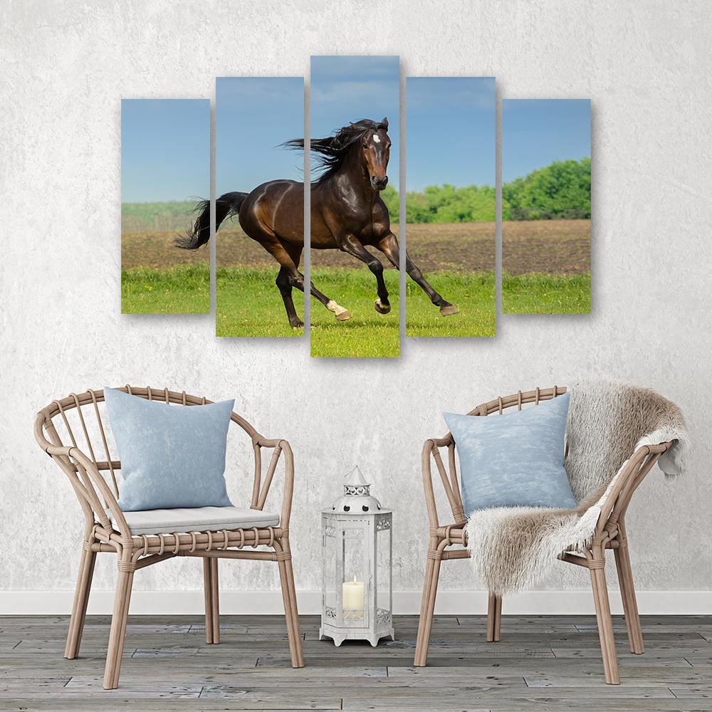 Five Piece Picture Canvas Print Horse Gallop Meadow