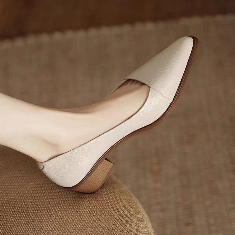 Fashion Women's Coarse Heel Shoes Spring New Pointed Head Shallow Mouth Soft Sole Waterproof Non-slip Low-top Shoes