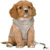 Puppy Harness - TRIXIE - Junior - Padded - Adjustable - Leash Included