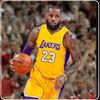 Los Angeles Lakers Lebron James Basketball Jersey Set With Polyester Fabric For Men And Sports Enthusiasts