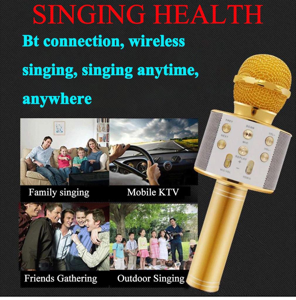 Karaoke Microphone for Kids & Adults Bluetooth Singing Mic Echo Effect, Built-in Speaker Portable for Party Travel Gifts