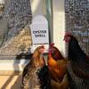 Chicken Oyster Shell Grit Feeder 3D Printed Dual-Purpose Hanging Chicken Feeder Trough Precision Nutrition Gravities Poultry Feeder Coop Accessories