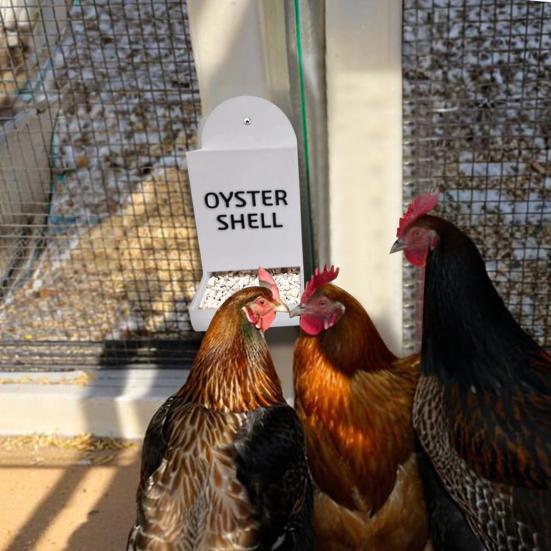 Chicken Oyster Shell Grit Feeder 3D Printed Dual-Purpose Hanging Chicken Feeder Trough Precision Nutrition Gravities Poultry Feeder Coop Accessories