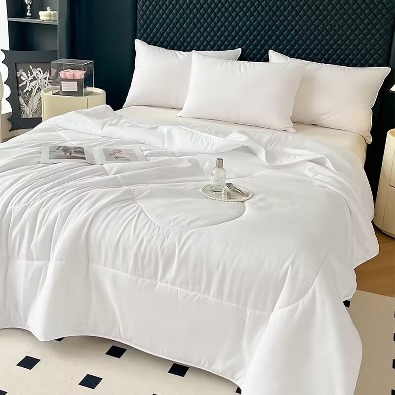 Ailant Super Soft All-Season Lightweight Quilt