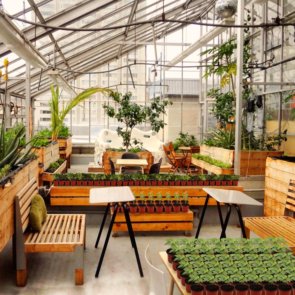 Plant Nursery Pots with Humidity Domes,40 Sets 4 Inch Soft Nursery Pots (40 Pots + 40 Clear Lids), Seed Starter Pots Small Plant