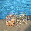 Acrylic Magnetic Seashell Display Box 36/64 Grids Diamond Storage Small Craft Organizers Compartment for Home Garden Decor