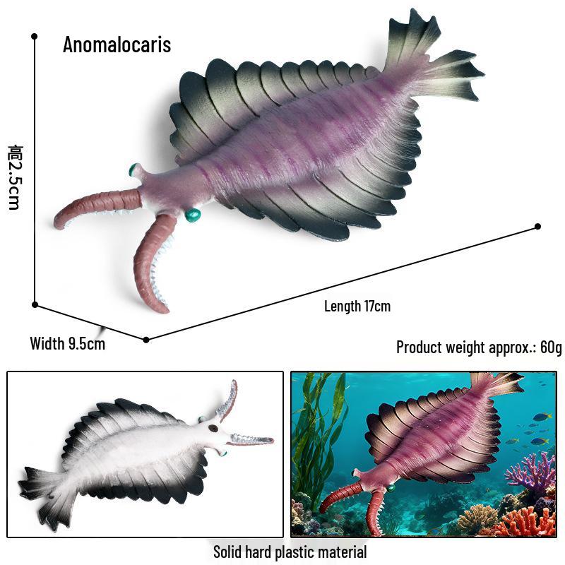 Marine Animal Simulation Models: Jellyfish, Octopus, Sea Shrimp, Sea Anemone, Squid, Horseshoe Crab, Crayfish, Arrowhead