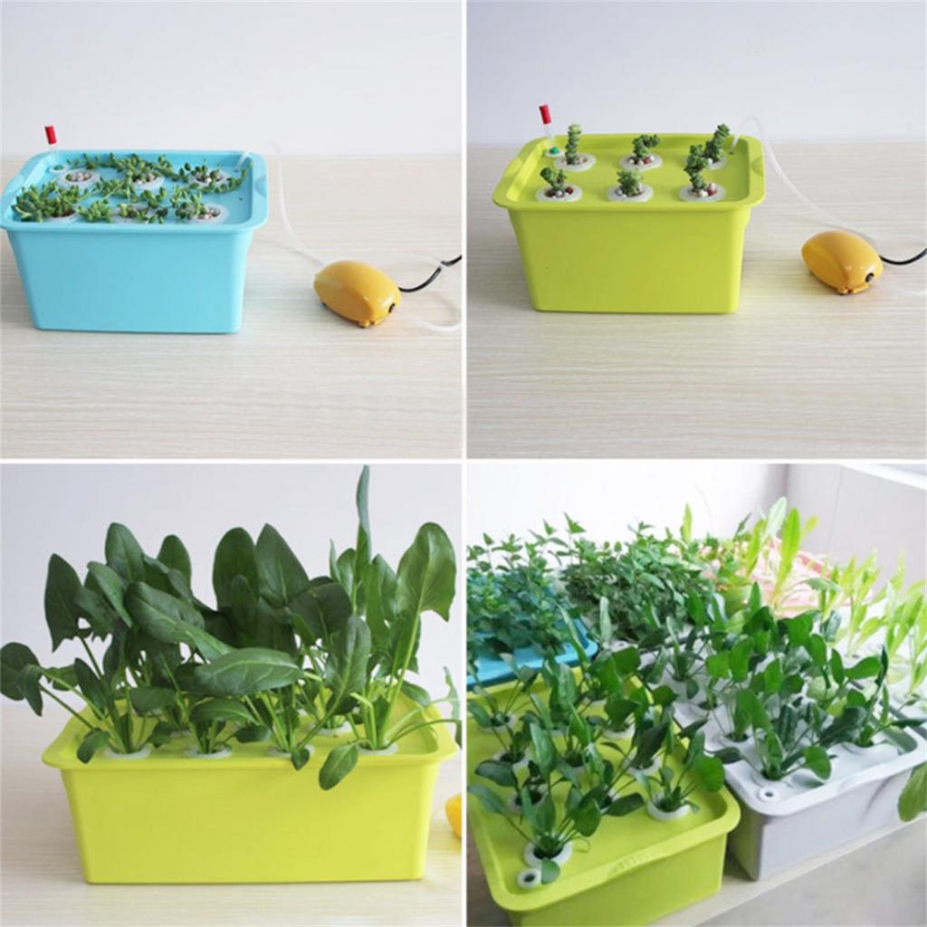 6-Hole Soilless Nursery Box 220V/110V Plant Hydroponic System Vegetable Flower Cultivation Seedling Grow Container With Air Pump