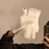 Elastische Fleece Handschoenen voor Dames Koreaanse Stijl Skiwanten Verdikte Handschoenen voor Fietsen Skiën