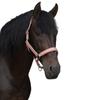 Little Rider Serena Leather Horse Headcollar