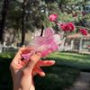 Cute Cartoon Animal Shark Clip Creative Korean Style Acetic Acid Hair Claw Woodpecker Headwear Swallow Bird Hair Claw Travel