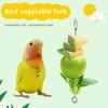 Parrot Fruit Holder Bird Feeder Outside Bird Feeders Hanging Vegetable Stick Suitable for Chinchillas Hamsters