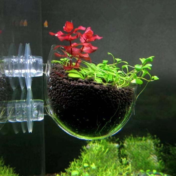 Aquatic Plant Cultivation Cup: Mini Polka Dot Pot for Fish Tank and Aquarium Breeding with Suction Cup