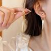 Light Luxury Charm Metal Earrings Trendy Style Drooping Earring Tassel Pendant Earrings  Party