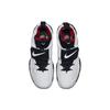 Nike LeBron 15 Diamond Turf AO9144-100