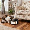 Heated Pet Bowl For Cats And Dogs With Antislip Base Temperature Control Dish For Cold Weather Indoor Outdoor Use