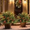 2 Pack 24' Battery-Operated Christmas Tree Urn with Pinecones, Red Berries & Lights - Outdoor Holiday Decor