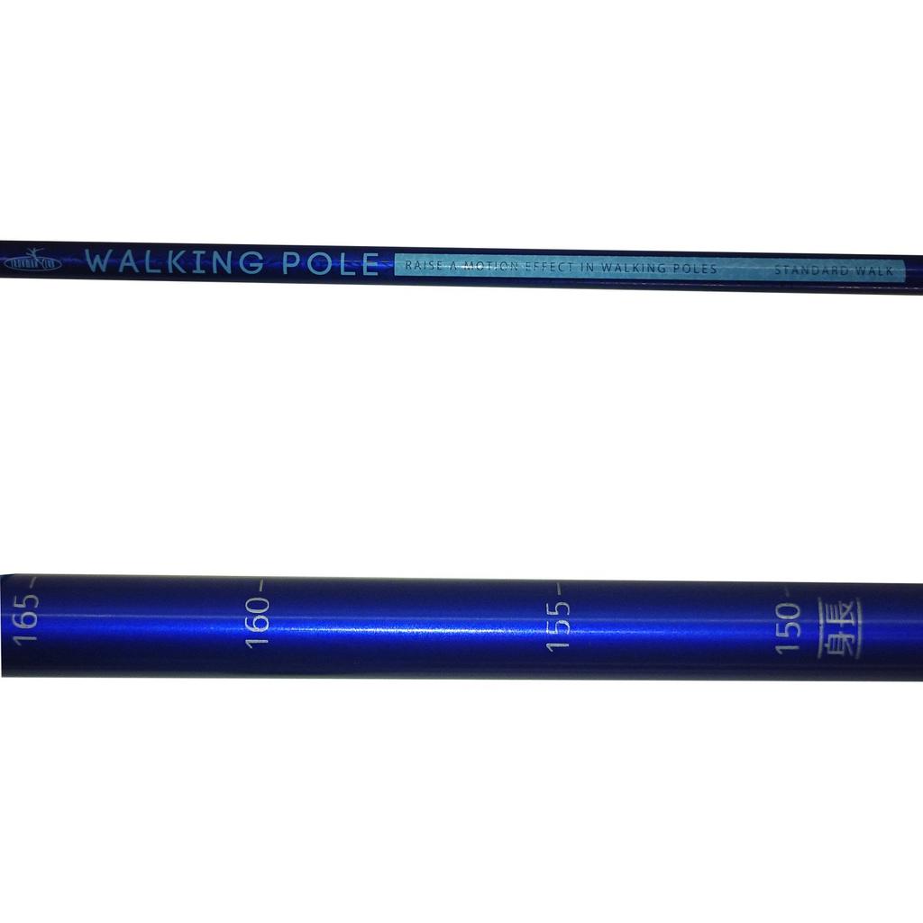 IRONMAN CLUB Walking Poles IMC-150N Navy Training