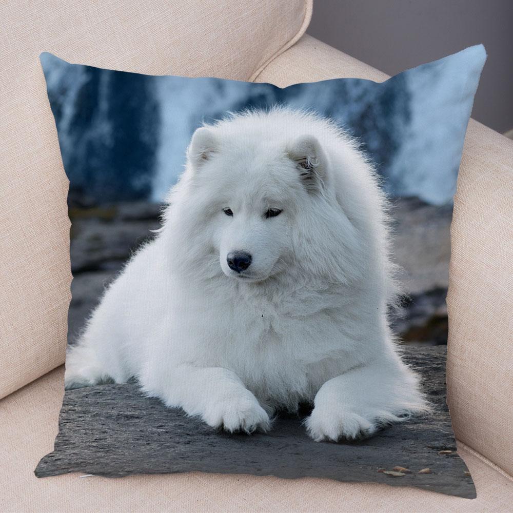 50 Stil Husă de Pernă Câine Alb Drăguț Samoyed Decor Husă de Pernă Animal de Companie Iubitor Husă de Pernă Moale de Pluș pentru Canapé Cameră Copii