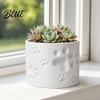 Cat Paw Flowerpot Plant Pot Print Pot Flower 3D Printed Cute Small for Embossed Desk Animal Theme Planter Home