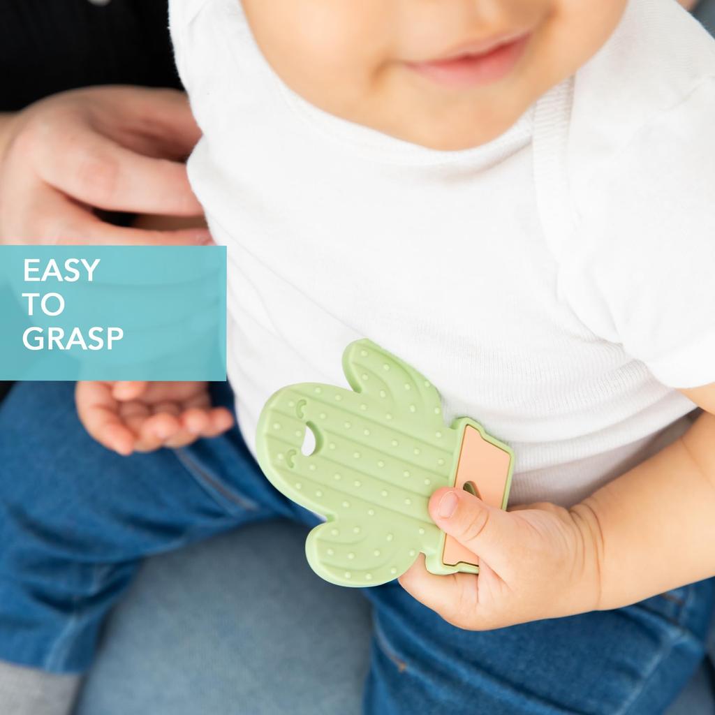 Bumkins Dental Teething Pads Japanese for Babies 3 Months and (Official Product) Up, Cactus, BM-THRCTS