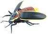 Doyusha Infrared RC Insect Series Firefly Electric Infrared Control No. 6663