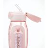 Skater Water Bottle with Straw 530ml Hello Kitty Straw Water Bottle One Push for Children Girls PDSH6DX-A