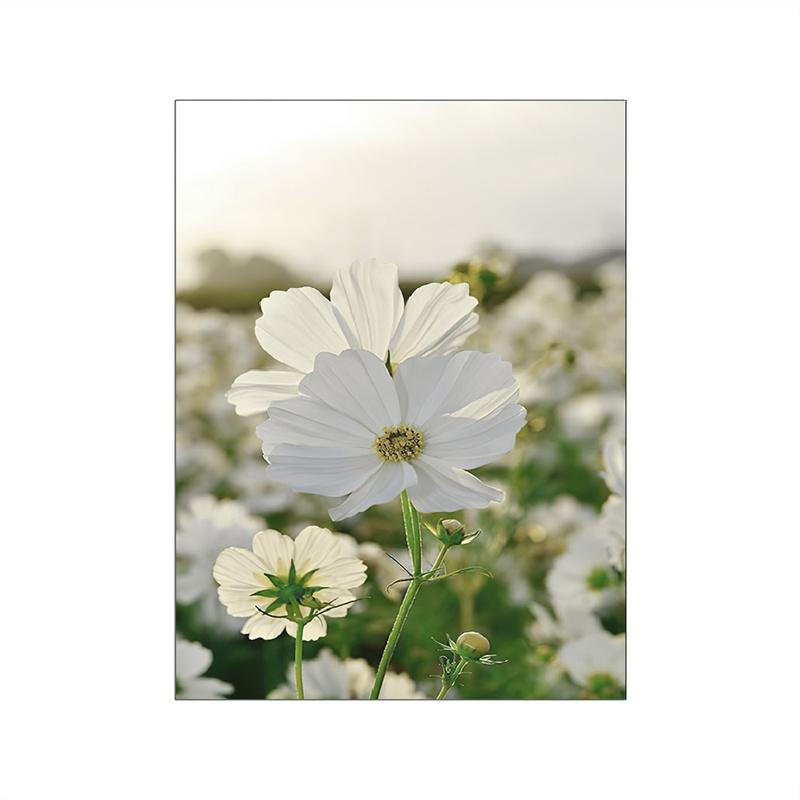 Dandelions Flowers Poster Wall Art Canvas Painting Wildflower Landscape Daisy Field Pictures Bedroom Home Room Wall Decor Prints