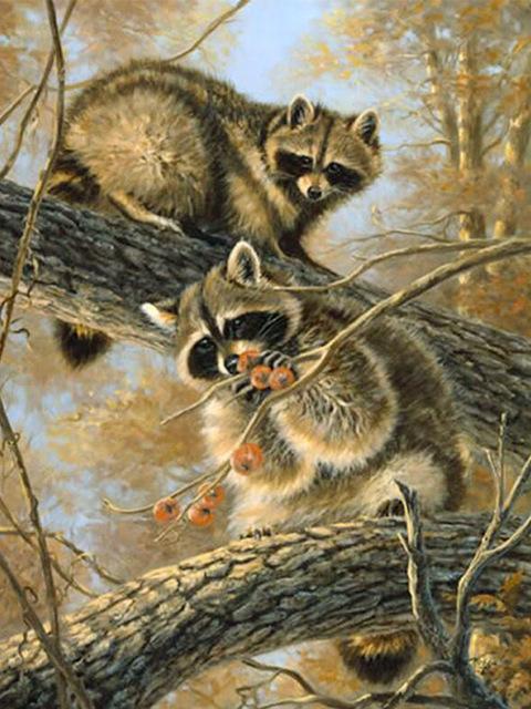 

5D алмазная живопись енот комплект полная дрель квадратная алмазная вышивка животные картина стразами мозаика ремесла домашний декор Full Round 20x30CM