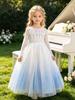 Elsa-Style Embroidered Beaded Girls' Ice Queen Dress: Birthday and Piano Performance Gown
