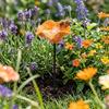 Harz Blumen Vogeltränke Ständer Erdspieß Insekten Trinkwasser Vogel Futterbecher Rasen Terrasse