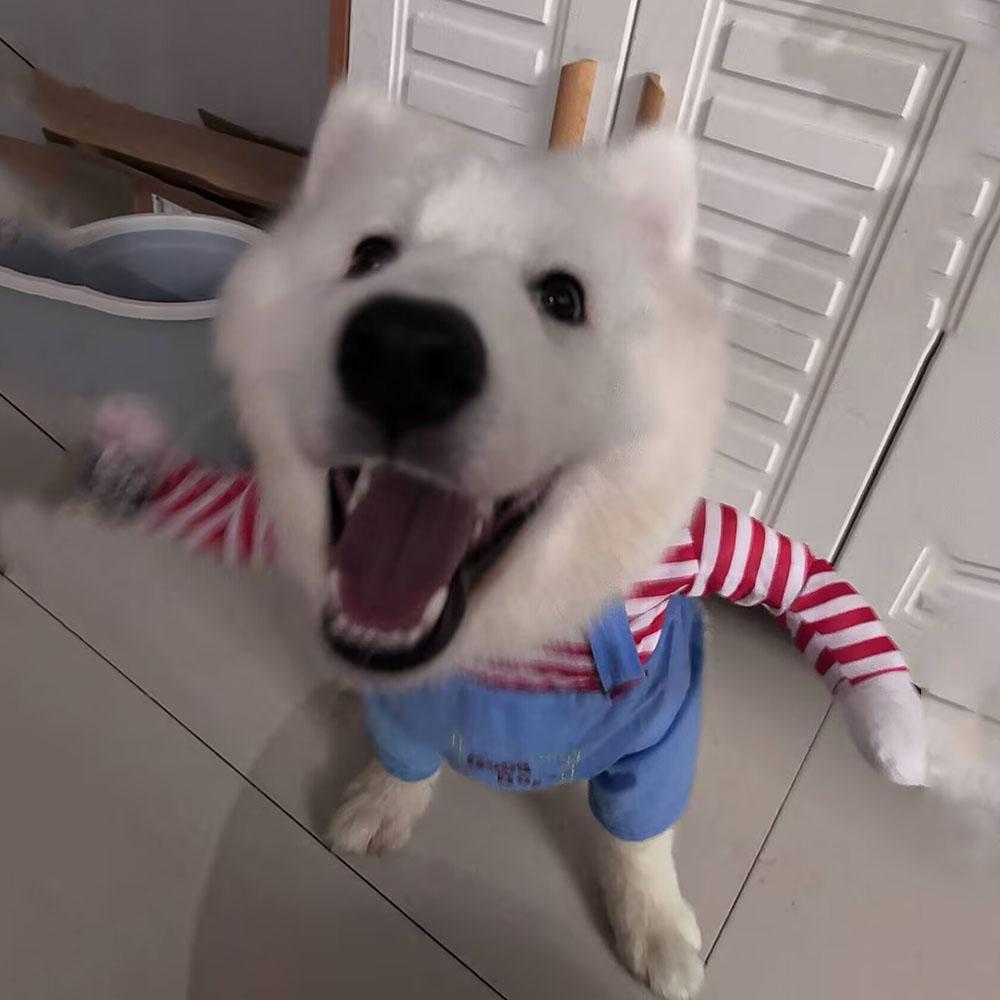 Halloween Lustiges Haustierkostüm mit Handhaltendes Messer Dekor Gestreifte Latzhose Verstellbares Hunde Cosplay Outfit für Kleine Große Hunde Katzen