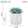 Small, Wavy Cup-Shaped Simulated Succulent Plant Potted Plant, Nordic Office Furniture Fresh Decoration